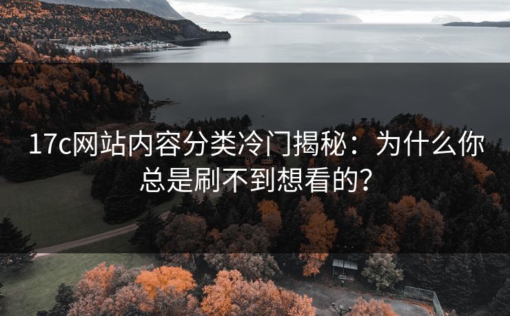 17c网站内容分类冷门揭秘：为什么你总是刷不到想看的？