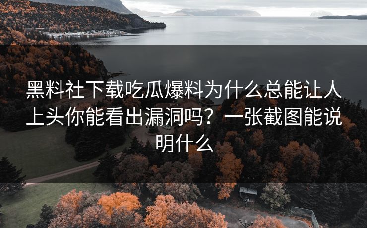 黑料社下载吃瓜爆料为什么总能让人上头你能看出漏洞吗？一张截图能说明什么